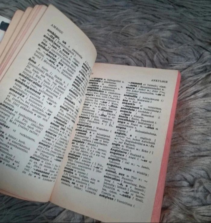 Dictionnaire Français-Allemand vintage - photo numéro 5