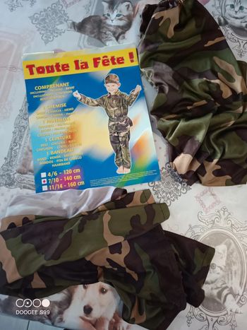Déguisement abîmé a donner