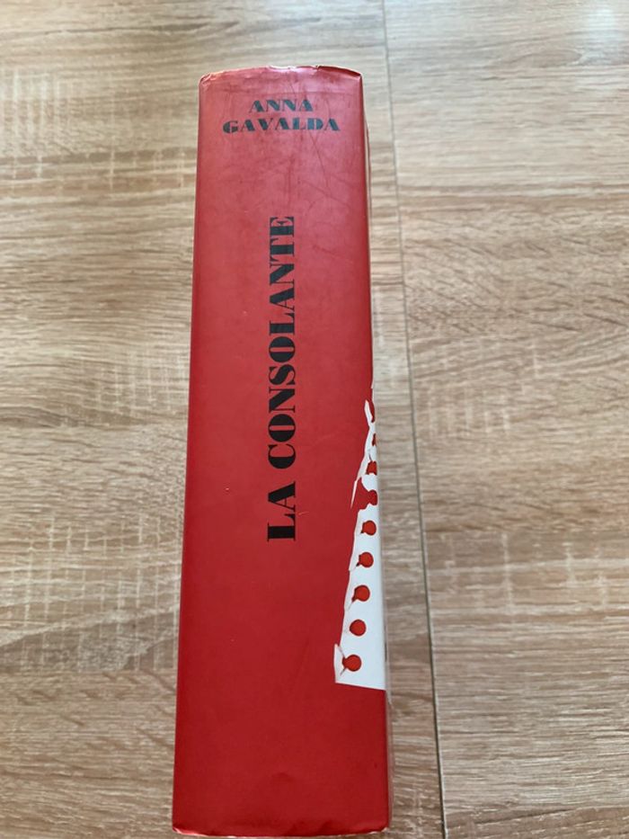 La consolante - photo numéro 3