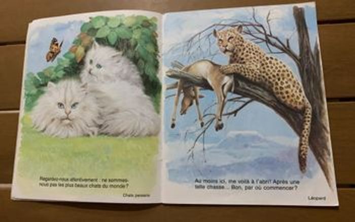 Amis d’ici et d’ailleurs - photo numéro 3