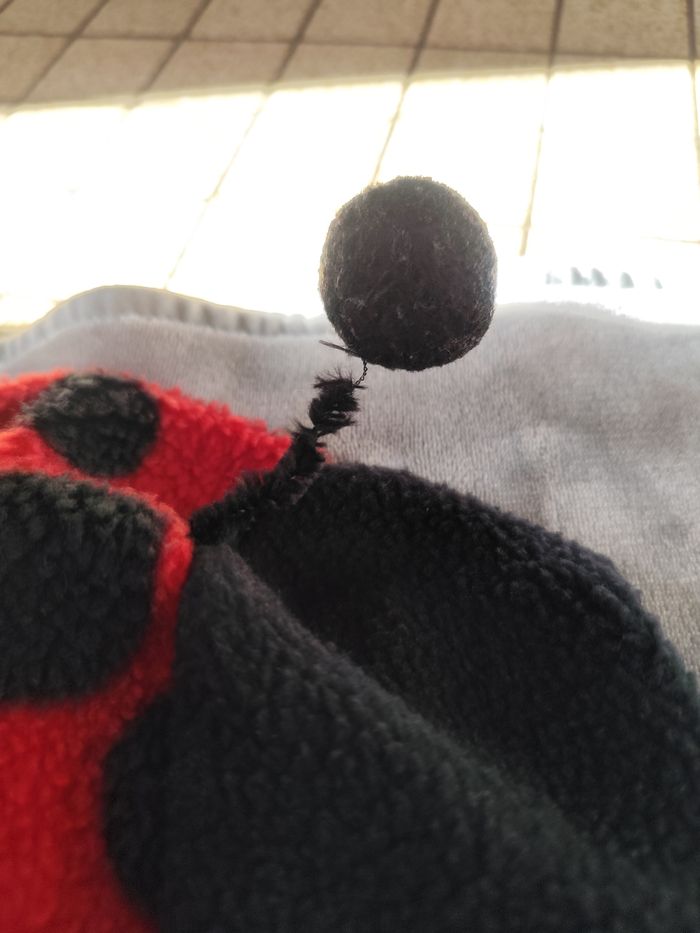 Déguisement coccinelle 12 mois - photo numéro 2