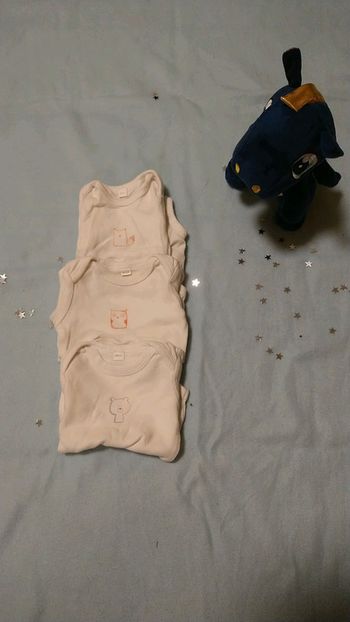 Lot de 3 bodies manches courtes taille 3 mois en très bon état sans marque