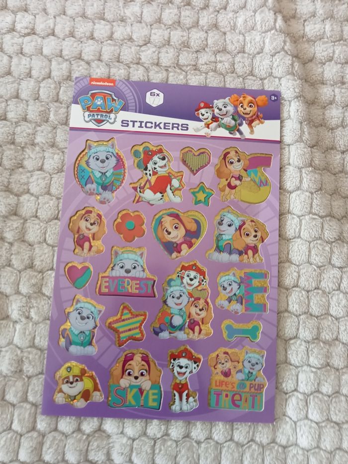 Lot de 6 fiches de stickers paw patrol
