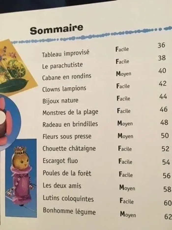 📘 Livre créatif Atelier Nature Loisirs créatifs pour enfants - photo numéro 5