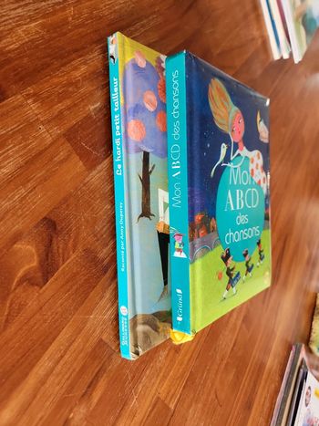 Lot de 2 livres avec CD enfant