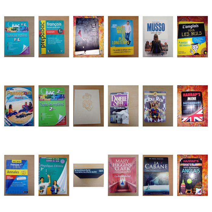 Plus de 200 livres - photo numéro 7