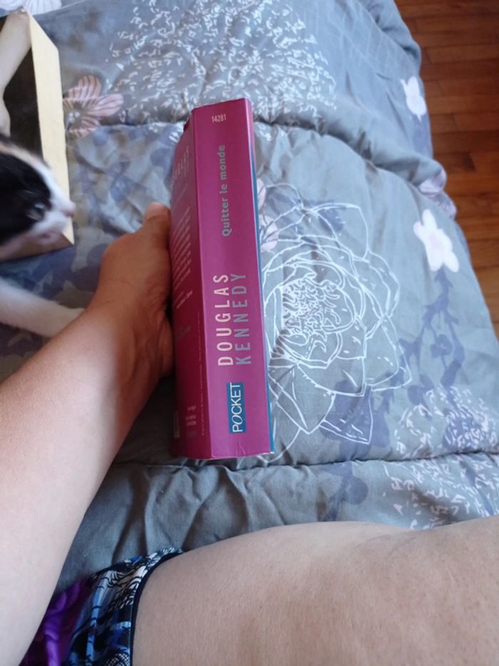 Roman pocket douglas Kennedy - photo numéro 3