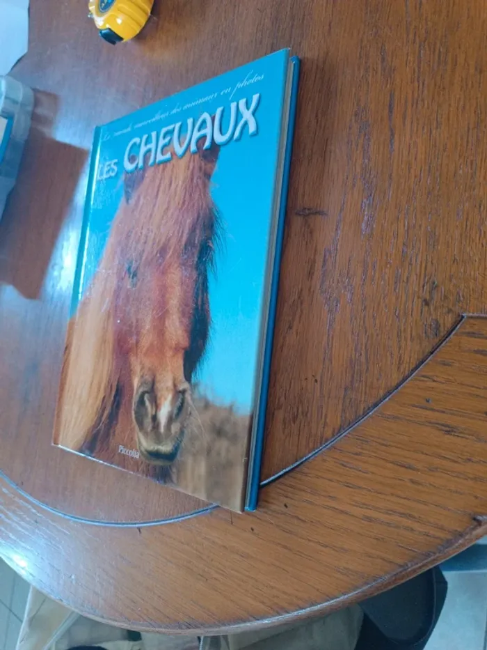 Les chevaux - photo numéro 8