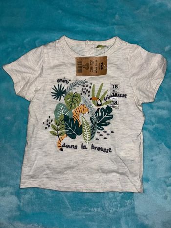 TEE shirt manches courtes