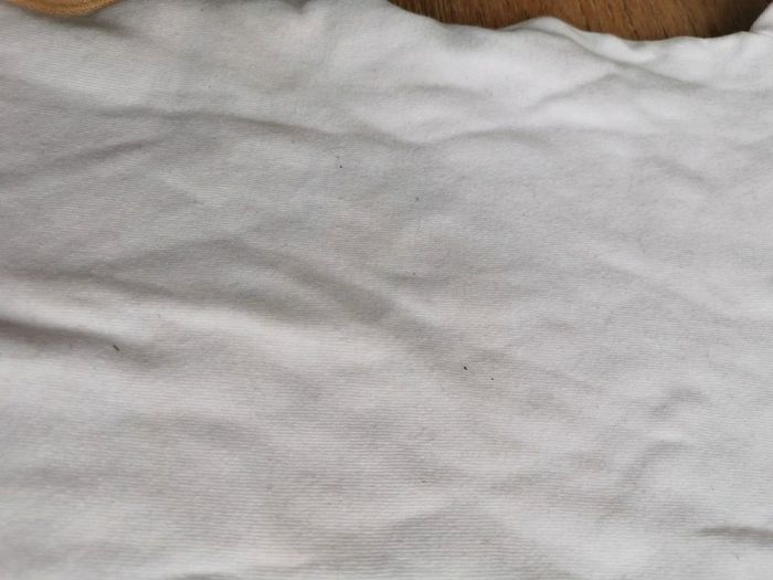 Lot 4 bodies dont 3 MC 6 mois - photo numéro 9