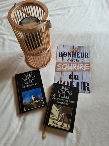 Livres 📚  lot de deux Mary higgins clark
