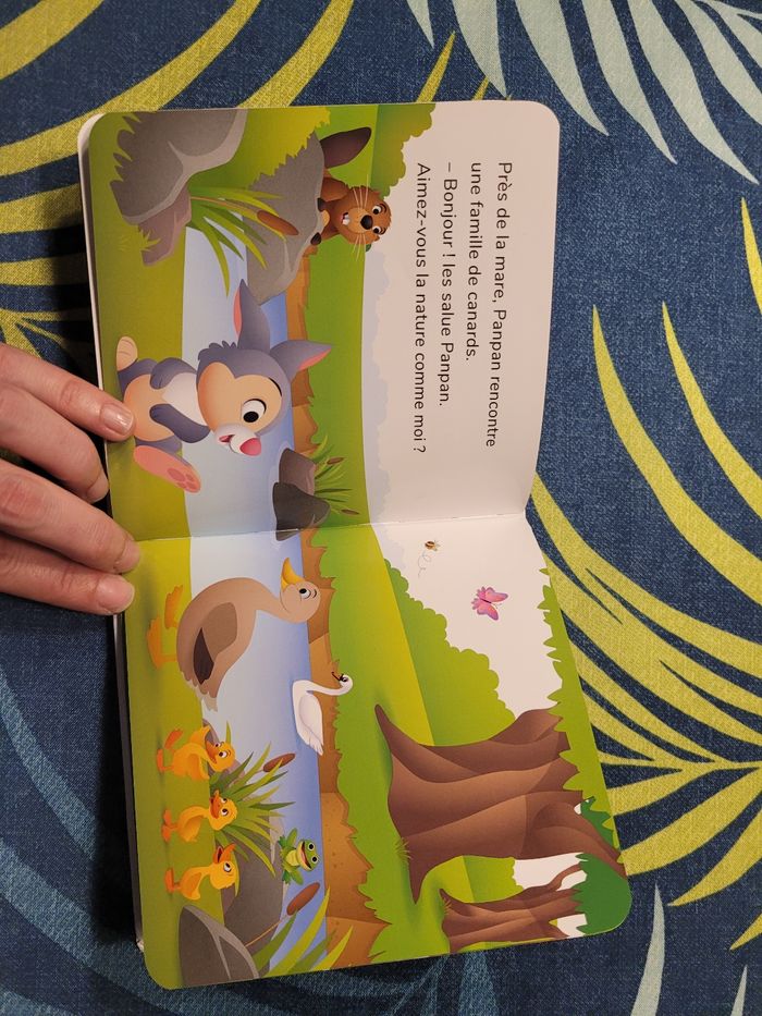 Livre panpan découvre la nature Disney mes premières histoires - photo numéro 10