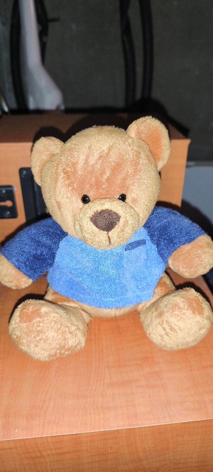 Teddy Bear - photo numéro 2