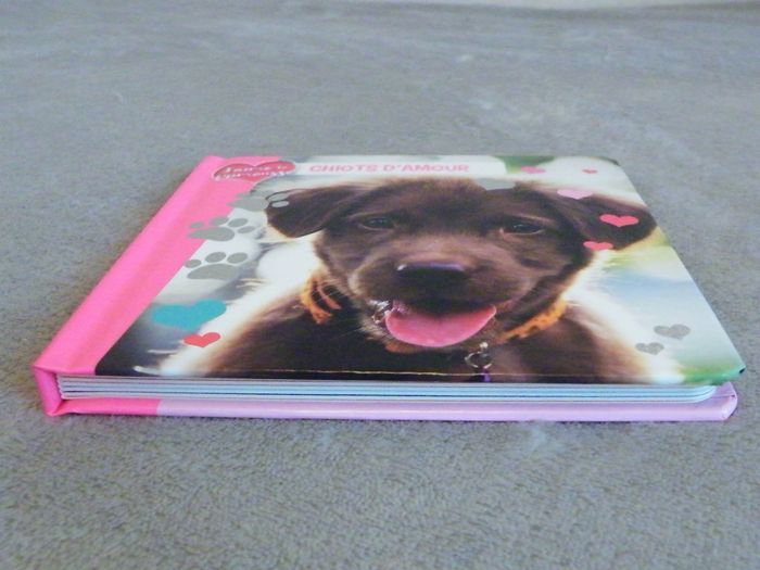 Livre tout carton "Chiots d'amour" J'aime ta frimousse Crackboom - photo numéro 4