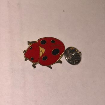 Pin’s Petite Coccinelle 🐞