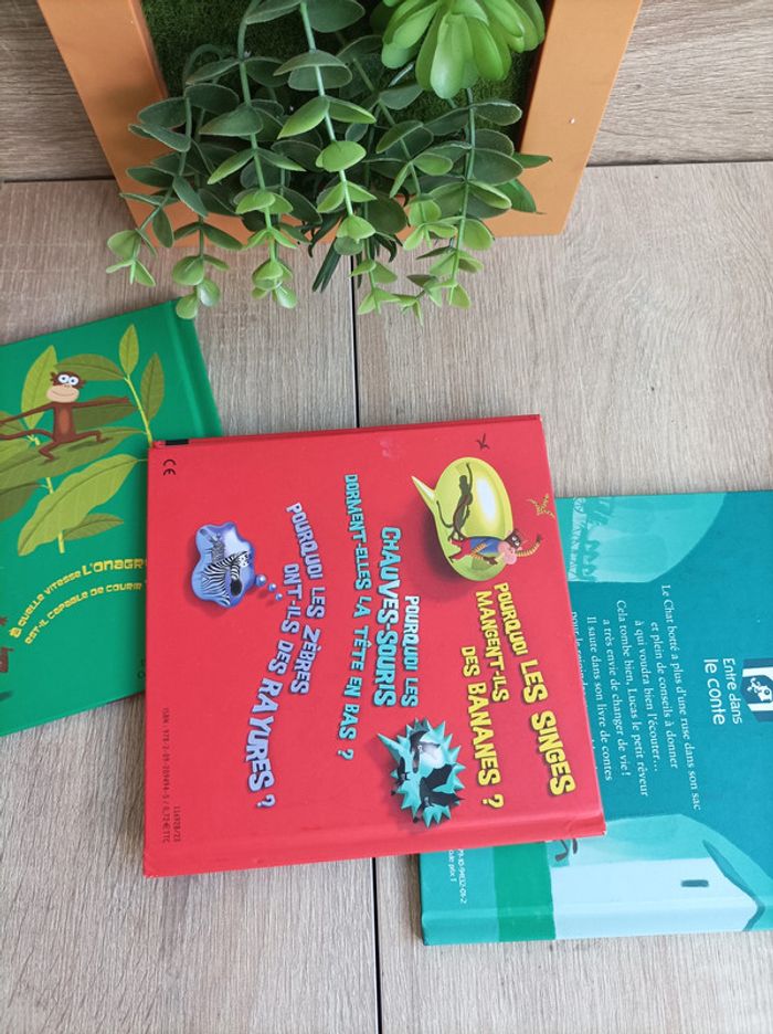 Lot 3 livres enfants - photo numéro 2