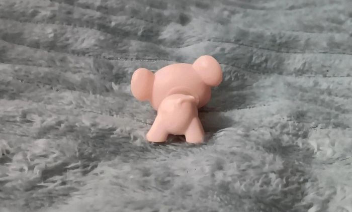 Petshop souris 103 - photo numéro 3