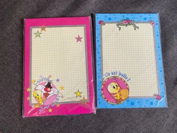 Lot de deux blocs carnets Titi et gros minet neufs