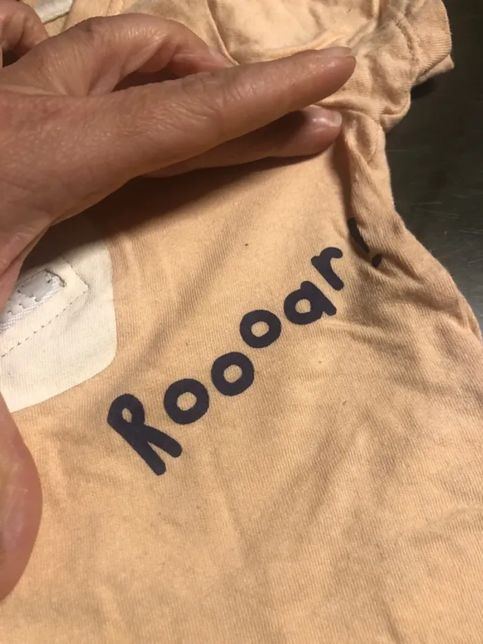 Tee shirt - photo numéro 2