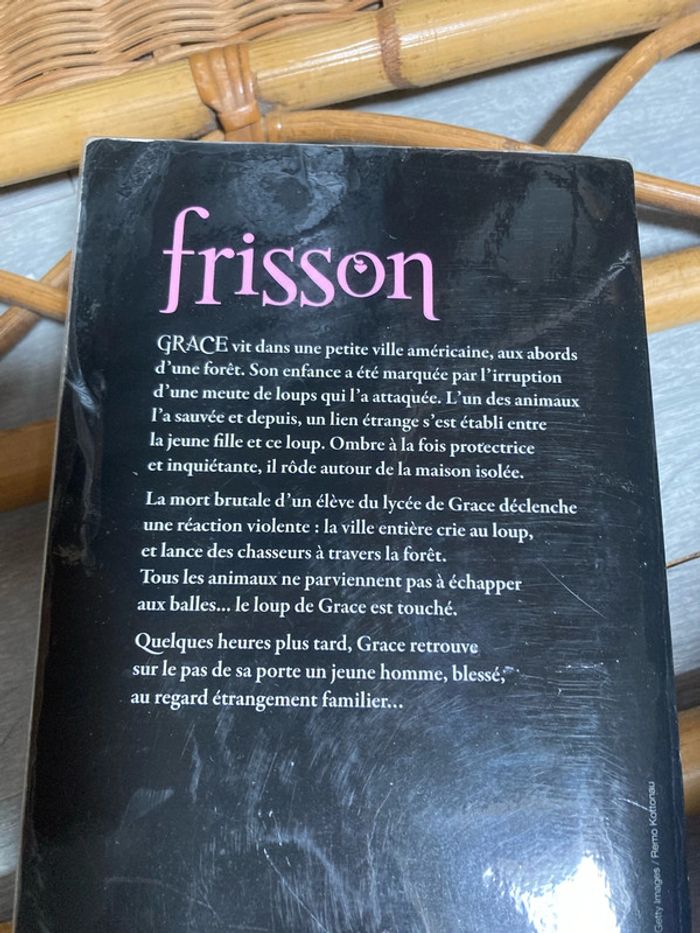 Frisson - photo numéro 5