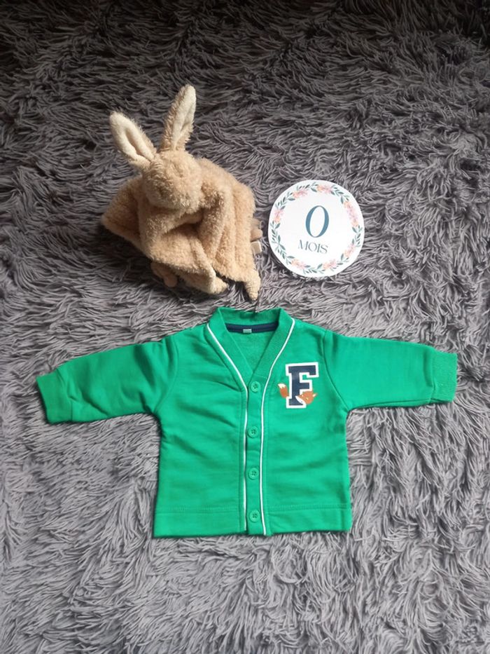Gilet bébé garçon - photo numéro 2