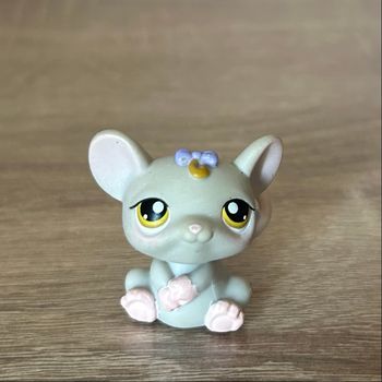 Petshop Souris