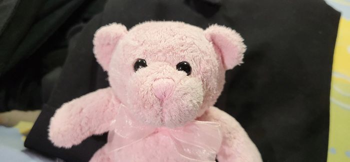 petit ourson rose