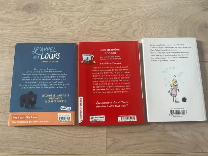 Premiers romans : l’appel des loups, les grandes années et Simone se bastonne - photo numéro 2