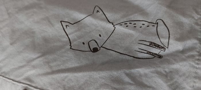 Chemise orchestra - photo numéro 4