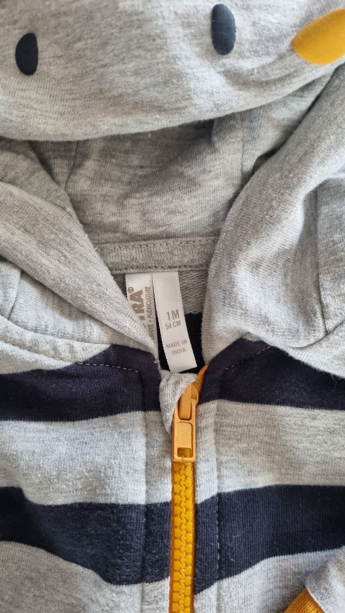 Sweat zippé capuche - photo numéro 2