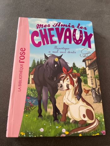 Livre bibliothèque rose mes amis les chevaux tome 13