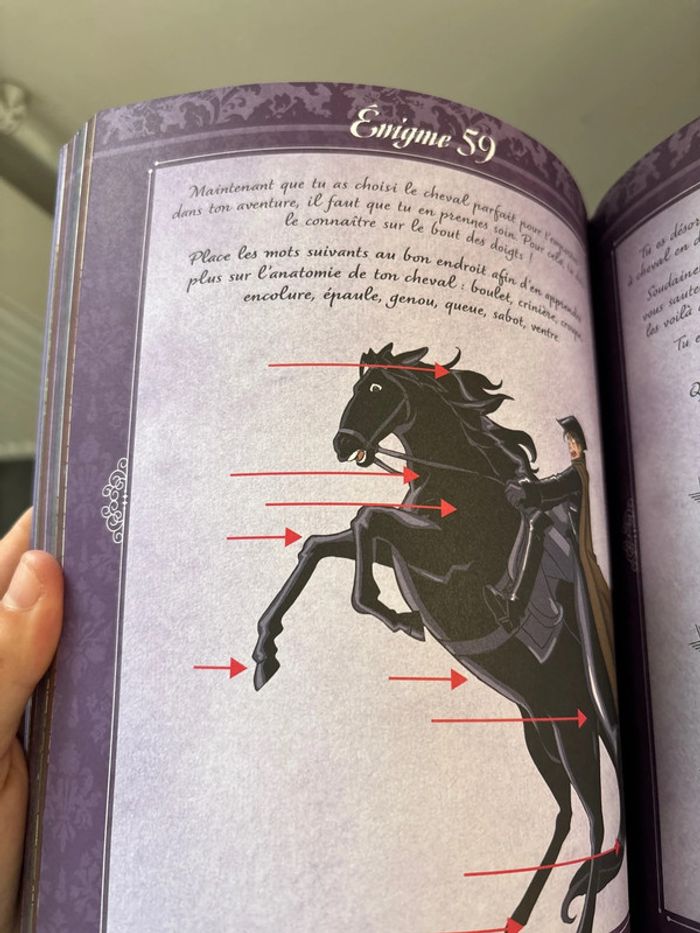 la rose écarlate le grand livre d’énigmes - photo numéro 8