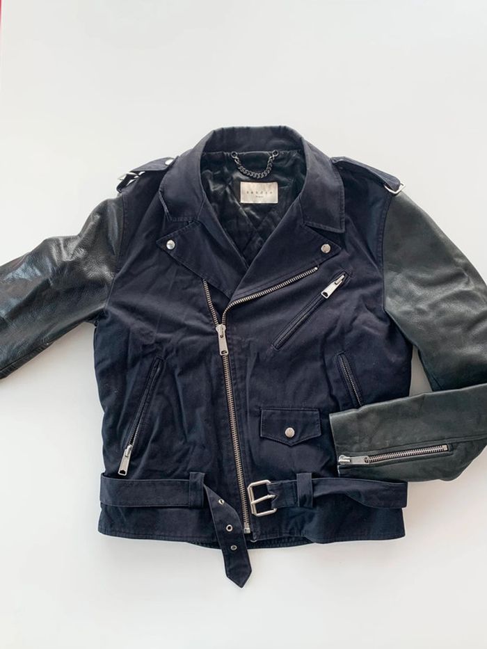 Magnifique Perfecto Sandro mi saison - photo numéro 2