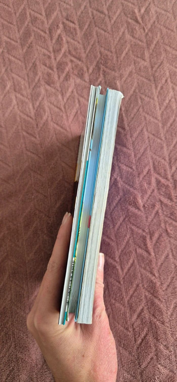 Lot livres chevaux - photo numéro 11