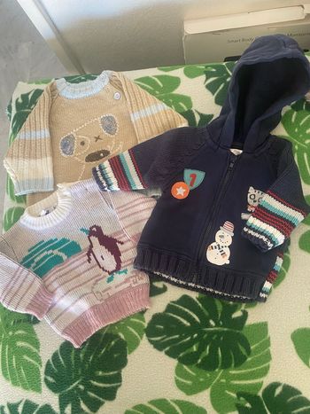 2 pull et 1 veste avec capuche 3/6 mois TBE
