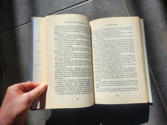 Les brumes d'avalon de Marion Zimmer Bradley - photo numéro 4