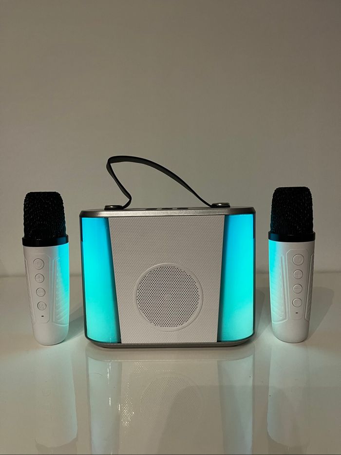 Karaoké avec 2 micros - photo numéro 3