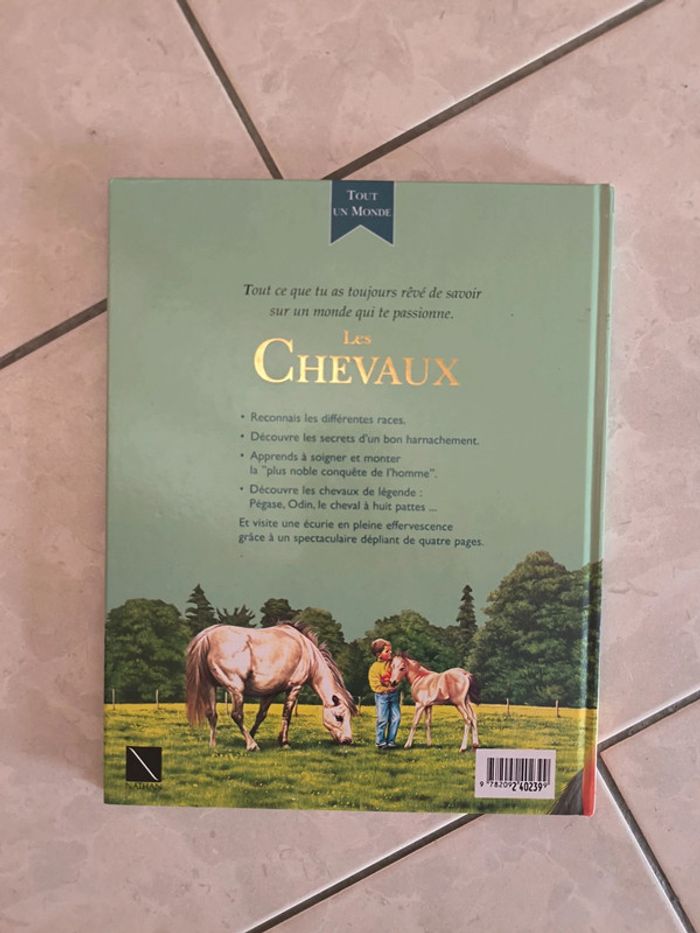 Les chevaux - photo numéro 2