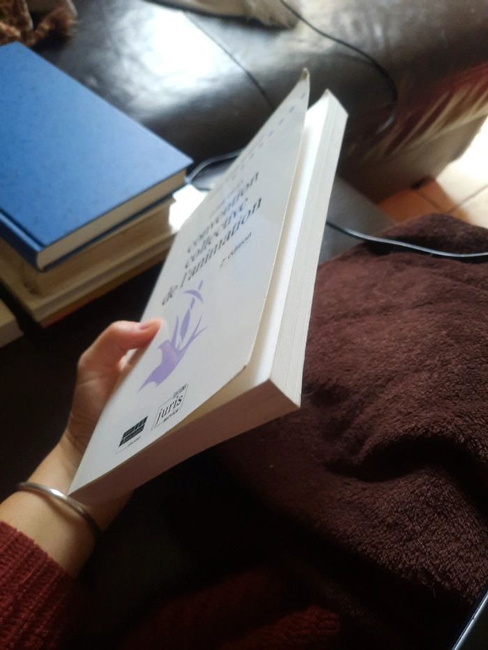 Ĺivre guide de la convention collective de l'animation pr d - photo numéro 4