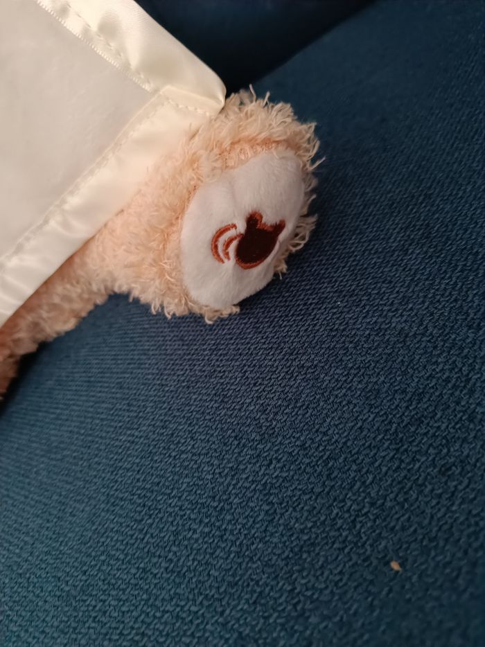 Ours cache cache - photo numéro 3