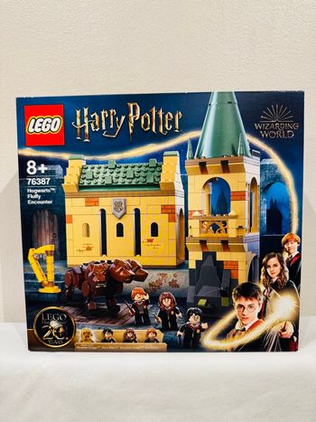 Lego Harry Potter Poudlard : rencontre avec Touffu + 8 ans 76387