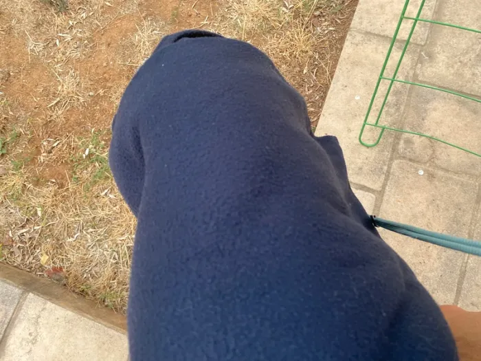 Lot de deux grandes couvertures, polaires, 220 × 250 - photo numéro 5