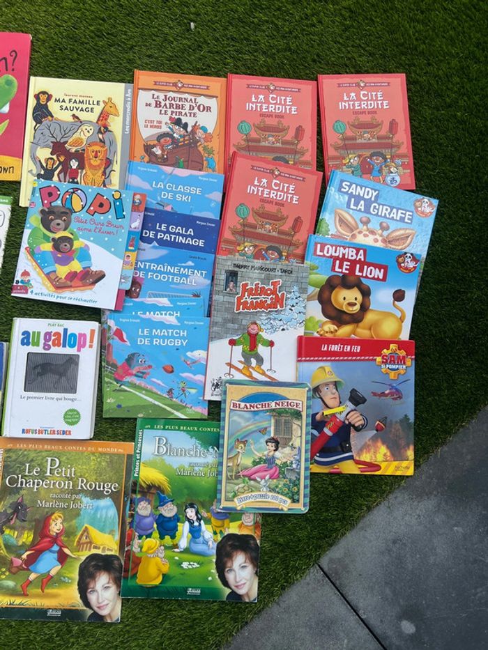 Gros lot de livres divers ( pas de vinted go ) - photo numéro 2
