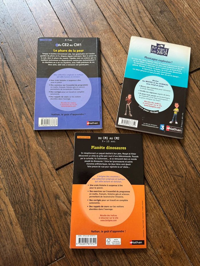 Lot livres Ce2-cm1-cm2 - photo numéro 2