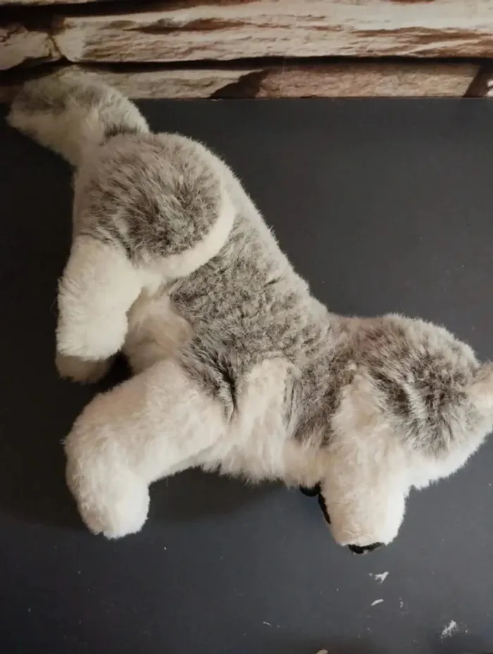🐻Peluche Husky 🐻 - photo numéro 2