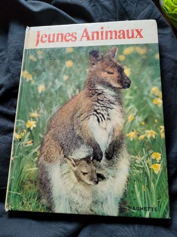 Jeunes animaux