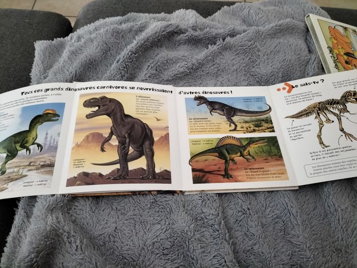 Livre : les dinosaures - petite encyclopédie des grands curieux - photo numéro 3