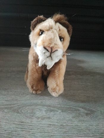 Peluche wild republic 15 cm
