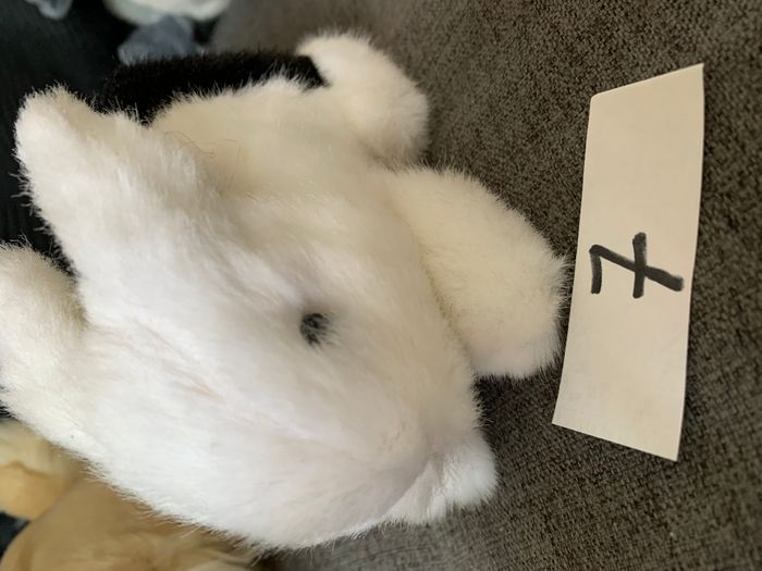 Peluche - photo numéro 3