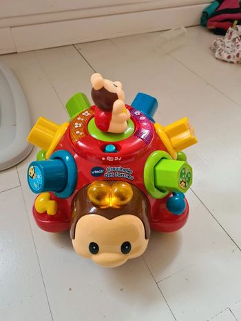 Coccinelle des formes